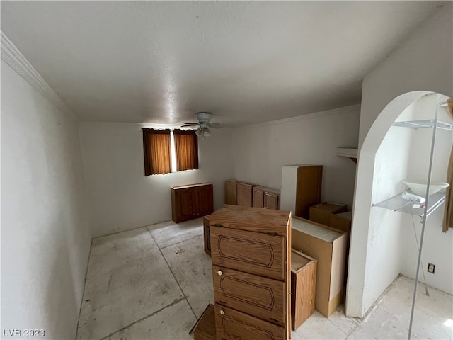 interior space with ceiling fan and ornamental molding