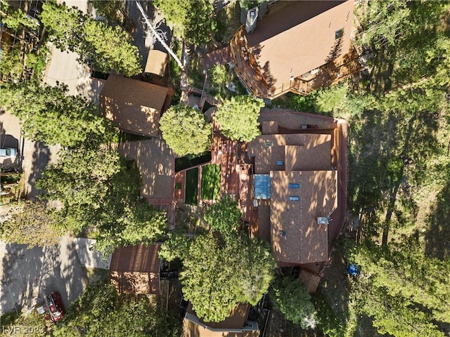 4095 Tyrol Way, Mount Charleston, NV 89124 - view of property location
