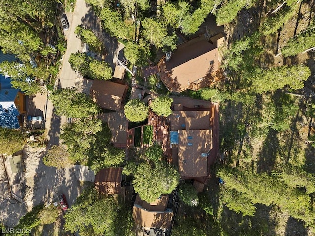 4095 Tyrol Way, Mount Charleston, NV 89124 - aerial overview of property's location