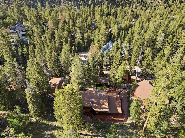 4095 Tyrol Way, Mount Charleston, NV 89124 - view of subject property with a forest