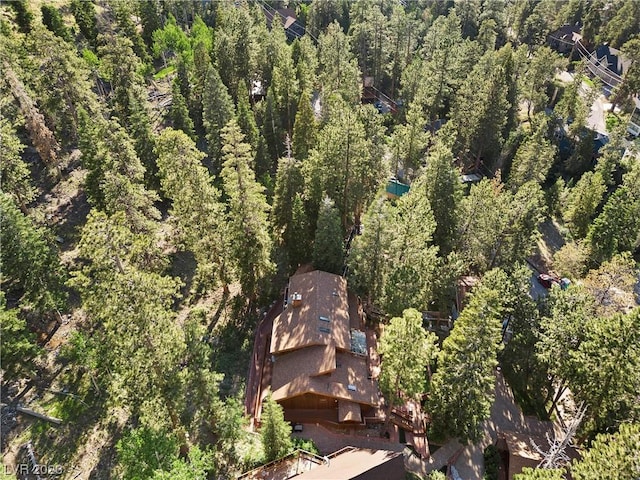 4095 Tyrol Way, Mount Charleston, NV 89124 - view of property location featuring a heavily wooded area