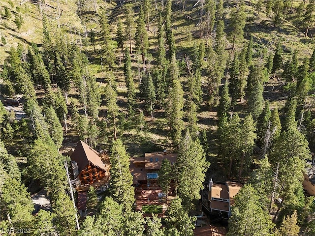 4095 Tyrol Way, Mount Charleston, NV 89124 - view from above of property with a forest