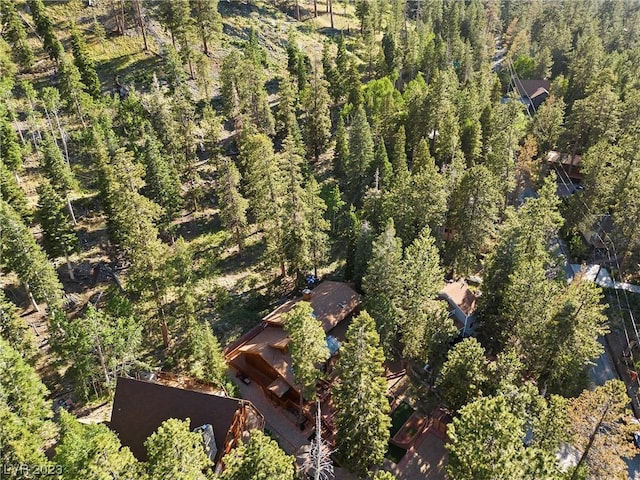 4095 Tyrol Way, Mount Charleston, NV 89124 - view of property location featuring a heavily wooded area