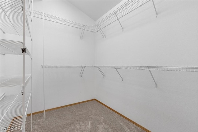 4095 Tyrol Way, Mount Charleston, NV 89124 - spacious closet with carpet flooring and vaulted ceiling