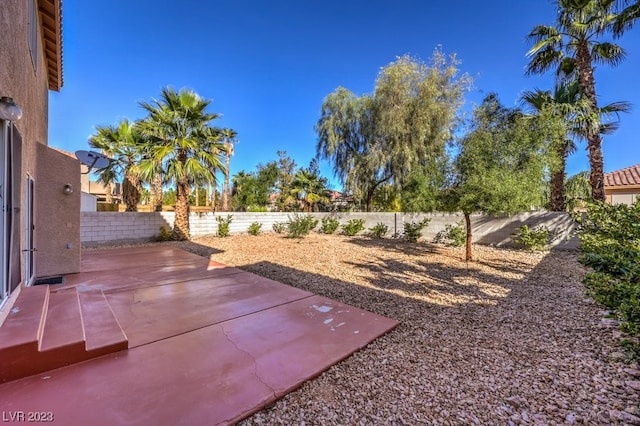 view of yard featuring a patio area