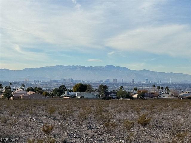 136 N Lisbon St, Henderson, NV 89015 - photo 3