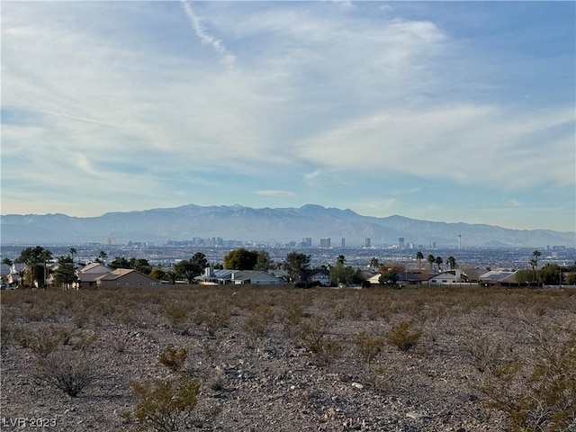 136 N Lisbon St, Henderson, NV 89015 - photo 10