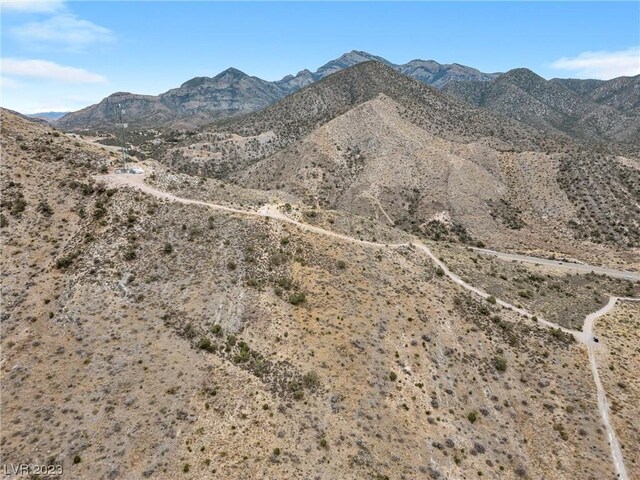 19502 State Highway 160, Mountain Springs, NV 89161 - photo 19