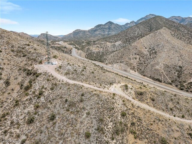 19502 State Highway 160, Mountain Springs, NV 89161 - photo 10