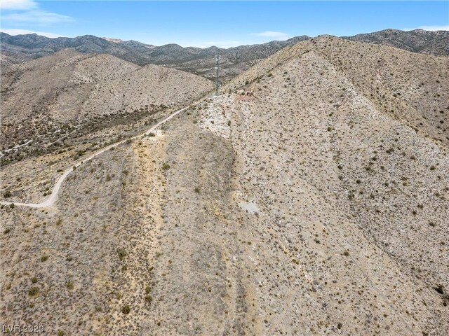 19502 State Highway 160, Mountain Springs, NV 89161 - photo 16