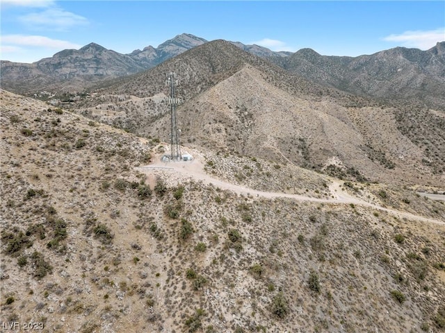 19502 State Highway 160, Mountain Springs, NV 89161 - photo 20