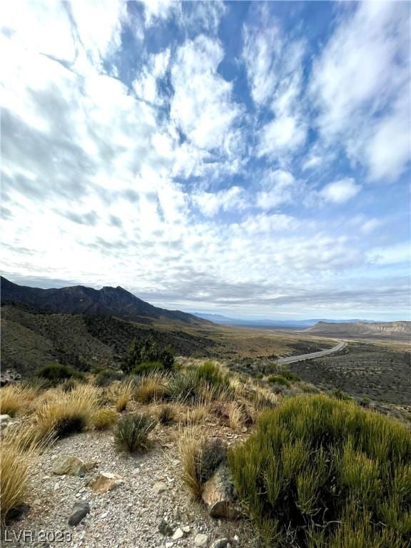 19502 State Highway 160, Mountain Springs, NV 89161 - photo 25