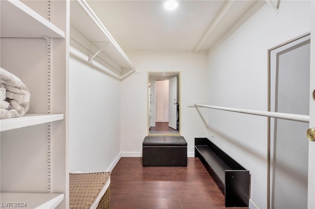 walk in closet with dark wood-type flooring