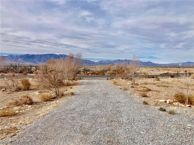 1021 Carson St, Pahrump, NV 89048 - photo 4