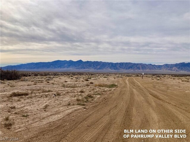 1021 Carson St, Pahrump, NV 89048 - photo 14