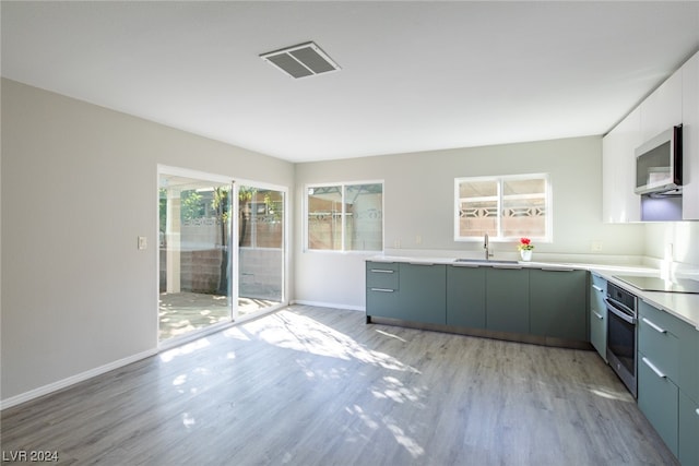 kitchen with sink, light hardwood / wood-style flooring, plenty of natural light, and stainless steel appliances