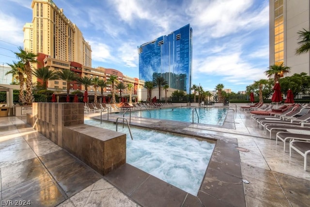 view of pool with a patio area