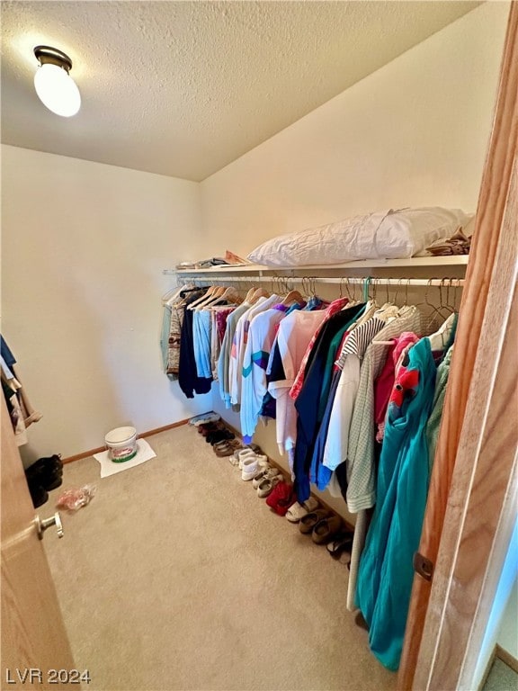 walk in closet with carpet