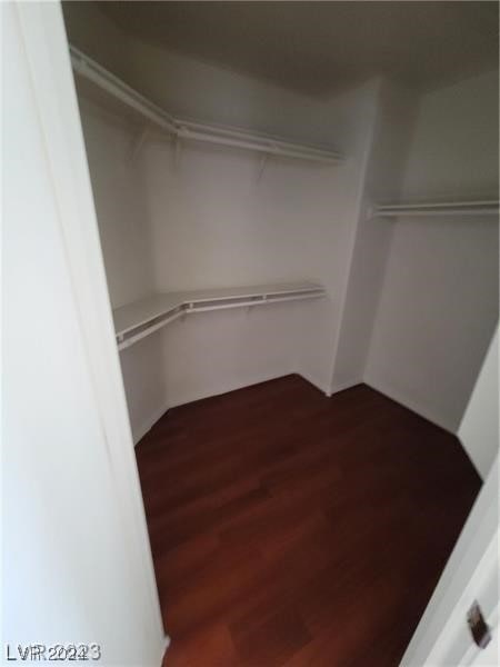 walk in closet with hardwood / wood-style flooring