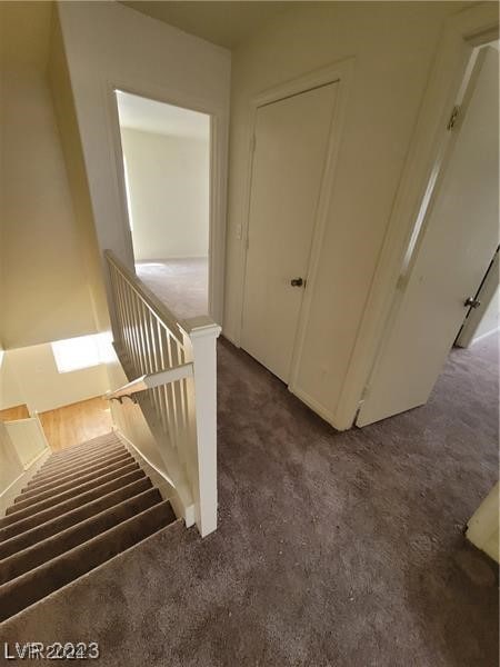 staircase with carpet