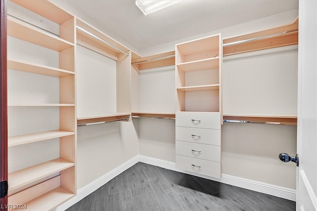 spacious closet featuring dark hardwood / wood-style floors