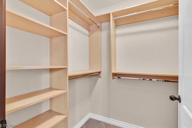 walk in closet featuring carpet flooring