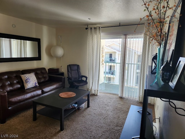 living room featuring carpet and a textured ceiling