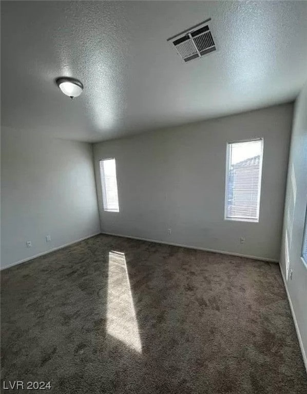 carpeted empty room featuring plenty of natural light and a textured ceiling