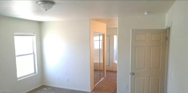 carpeted empty room featuring a wealth of natural light