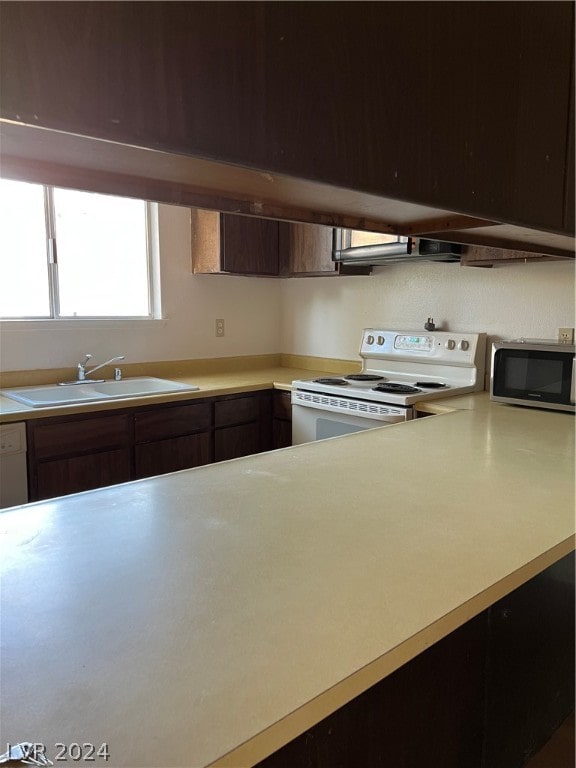 kitchen featuring white range with electric stovetop, dark brown cabinetry, and sink