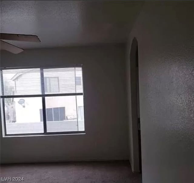 carpeted spare room with ceiling fan