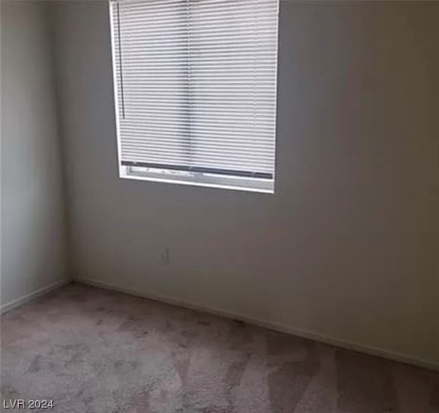 spare room featuring carpet flooring