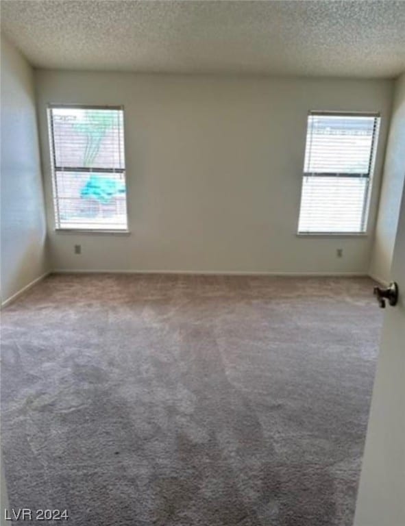 carpeted empty room with a textured ceiling and a healthy amount of sunlight