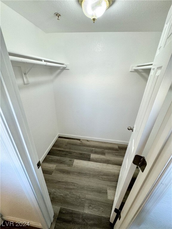 spacious closet featuring dark wood-type flooring