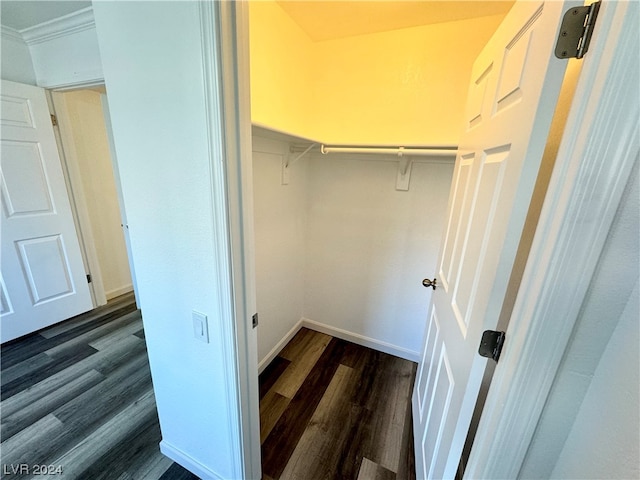 spacious closet with dark hardwood / wood-style flooring