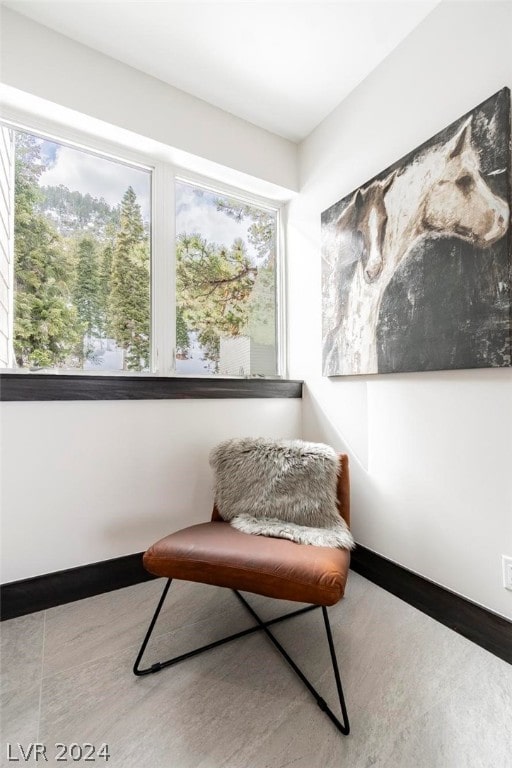 sitting room featuring plenty of natural light