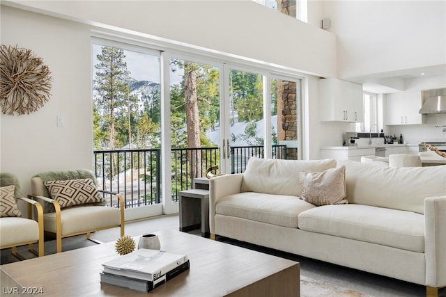 living room featuring a wealth of natural light and a high ceiling