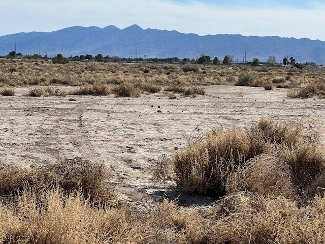 771 N Buckhorn Rd, Pahrump NV, 89060 land for sale