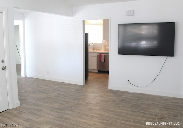 unfurnished room with wood-type flooring and sink