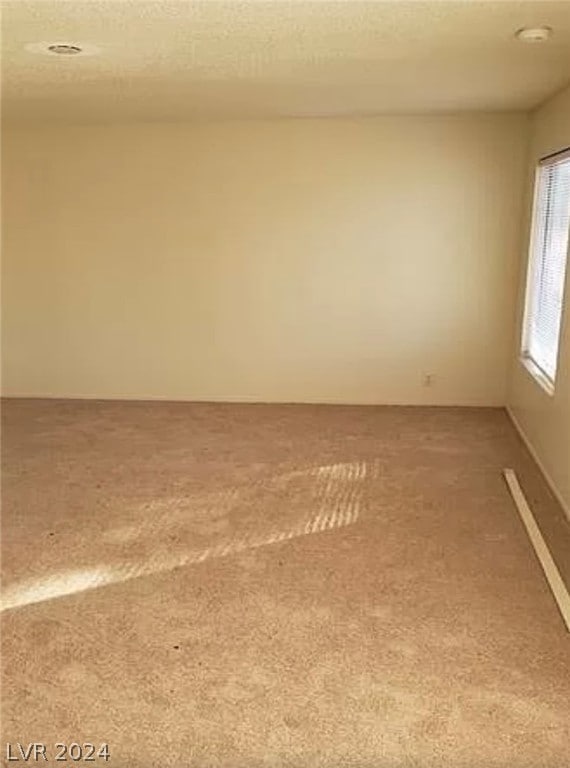 unfurnished room featuring a textured ceiling and carpet flooring