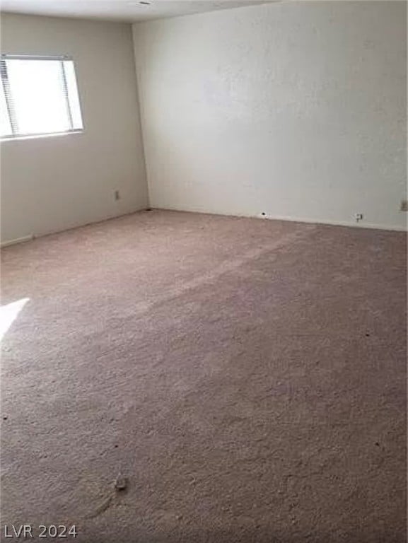 spare room featuring carpet