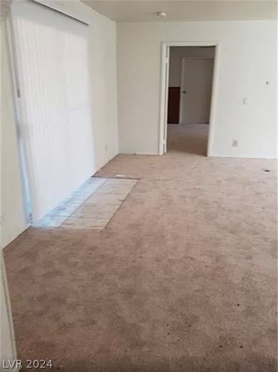 spare room with carpet