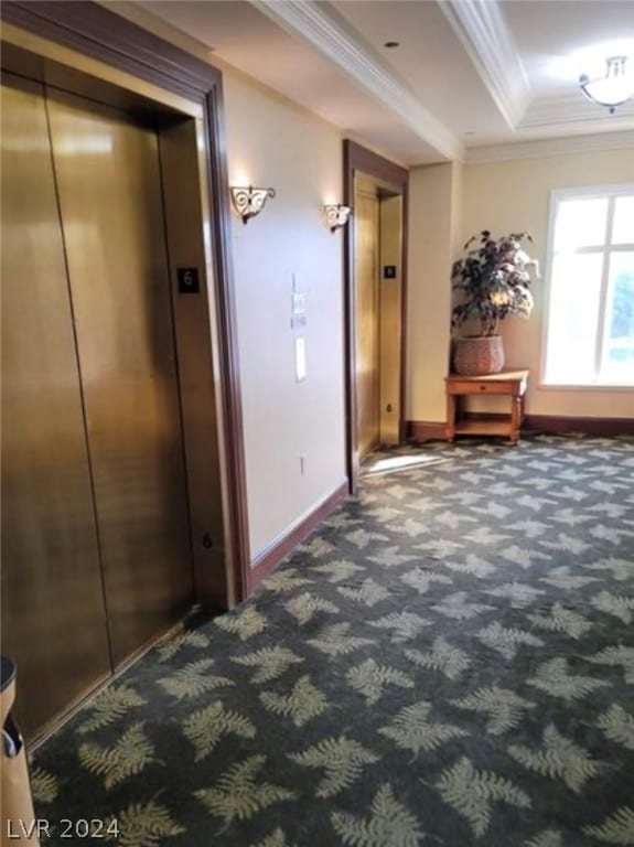 corridor with carpet flooring, elevator, and crown molding