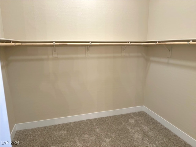 walk in closet featuring carpet flooring