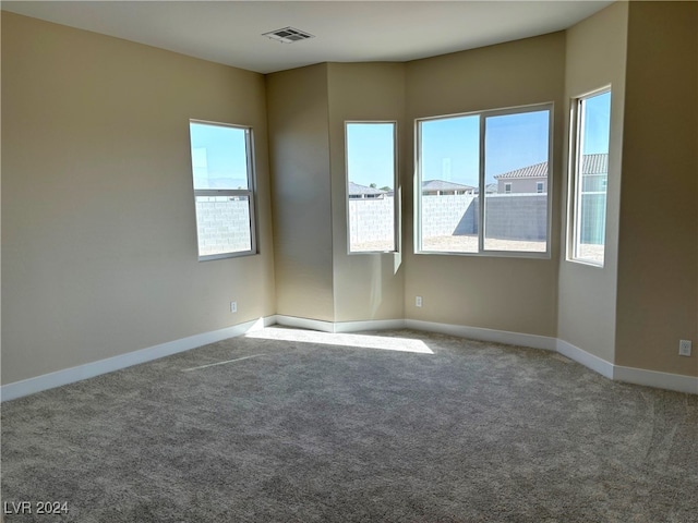 spare room featuring carpet floors