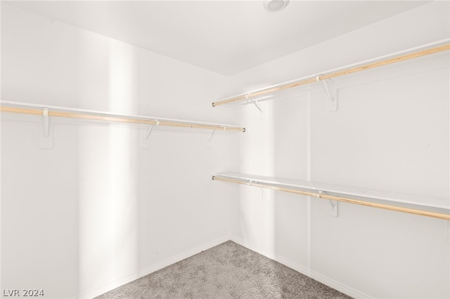 spacious closet featuring light carpet