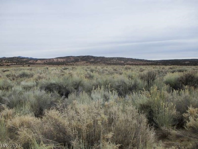 Eagle Valley Rd Unit 33.89, Ac Pioche NV, 89043 land for sale