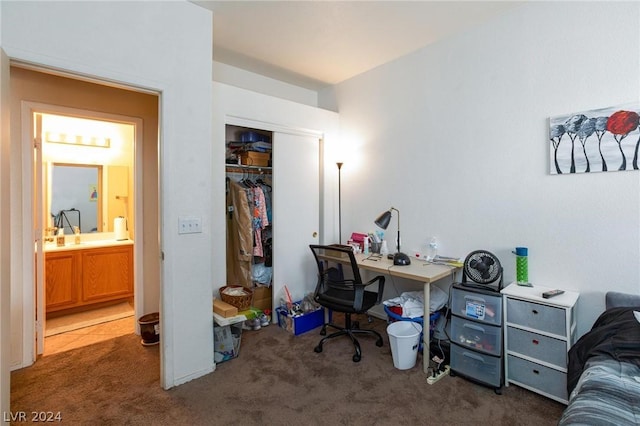 office with carpet floors