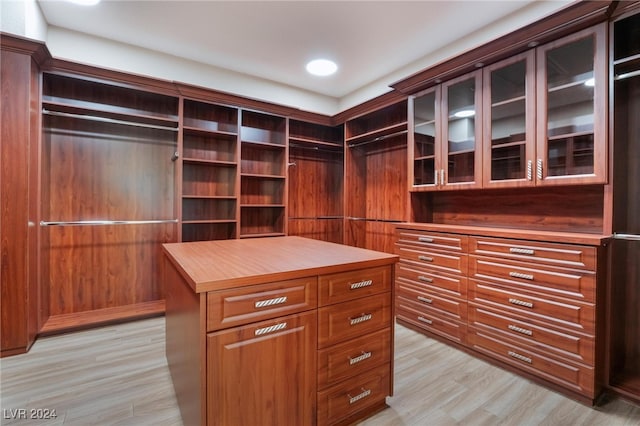 spacious closet with light hardwood / wood-style floors