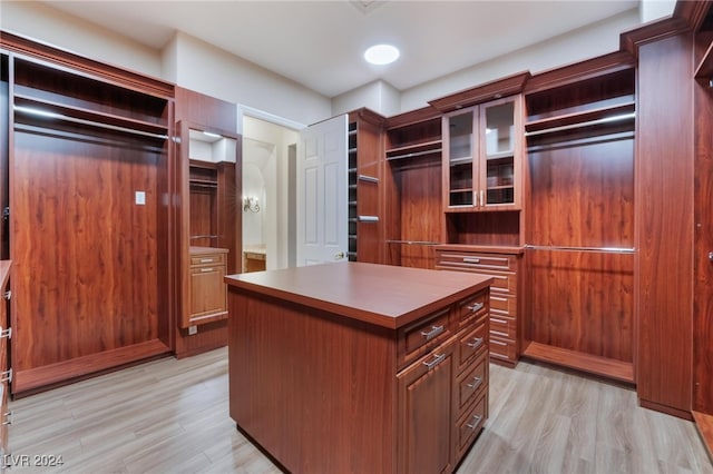 spacious closet with light wood-type flooring